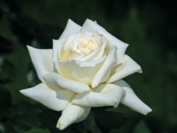 Pope John Paul II photo pjp2013_07050057_zpsca866324.jpg